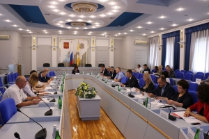 Депутаты обсудили вопросы статуса старосты  сельского населенного пункта