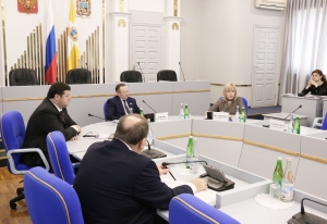 Депутаты-единороссы поддержали бюджетные корректировки