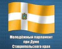 Молодежный парламент работает, не снижая активности