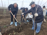 В Новоалександровском муниципальном округе развивается садоводство