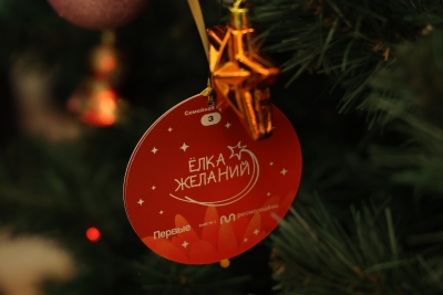 Депутаты краевой Думы исполняют детские мечты с «Елки желаний»