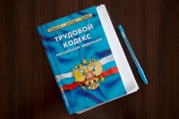 Молодые парламентарии приняли участие в обсуждении поправок к Трудовому кодексу РФ