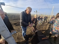 Анатолий Жданов: сады дают не только урожай, но и обеспечивают работой