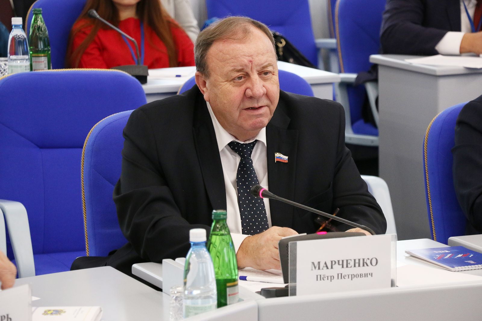 России нужны профессиональные политики