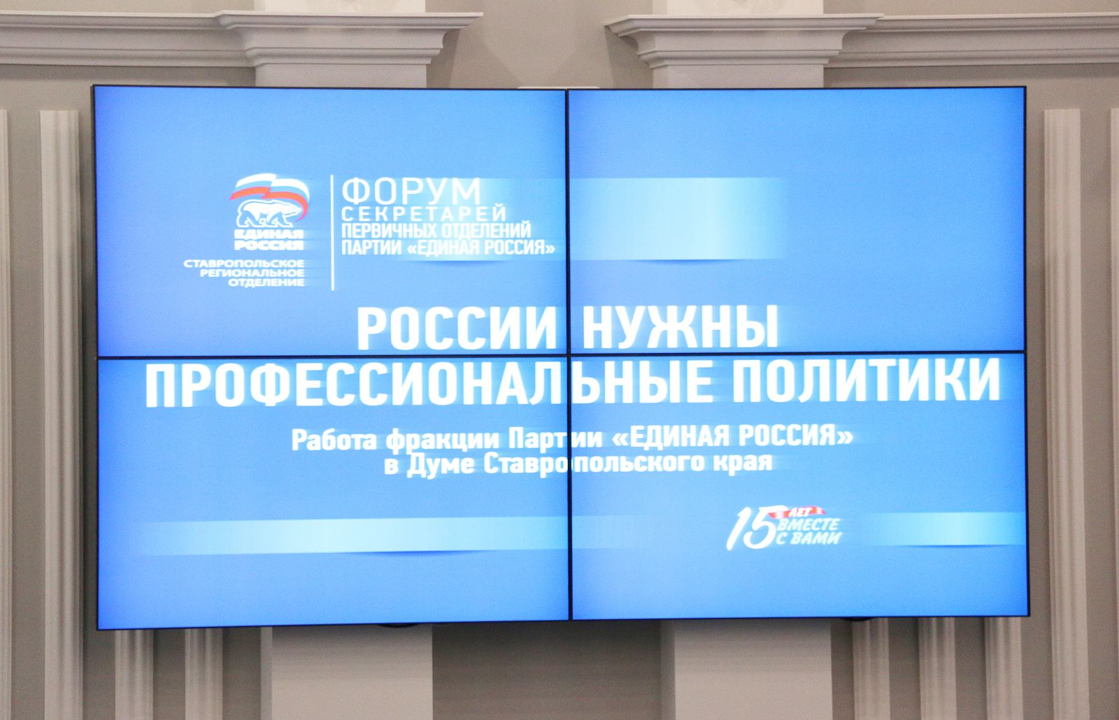 России нужны профессиональные политики