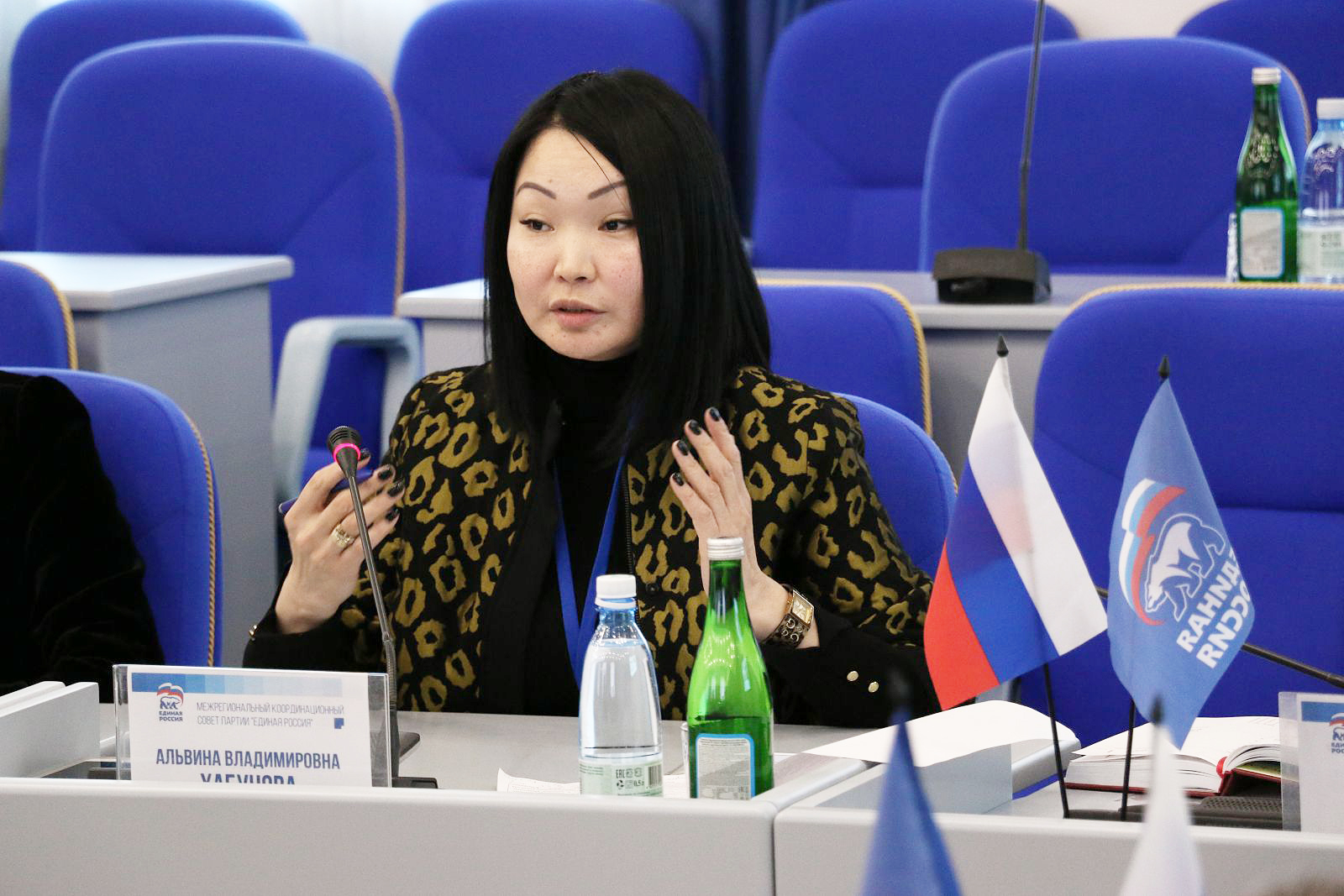 Заседание Межрегионального координационного Совета партии «Единая Россия»