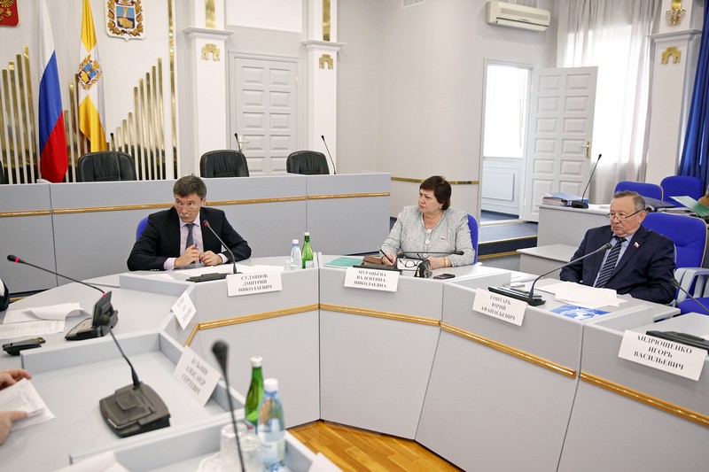 Молодежный парламент сформирован и скоро приступит к работе