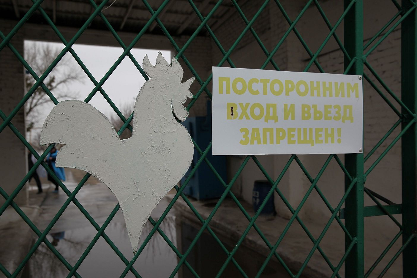 Серьезный разговор о перспективах отрасли