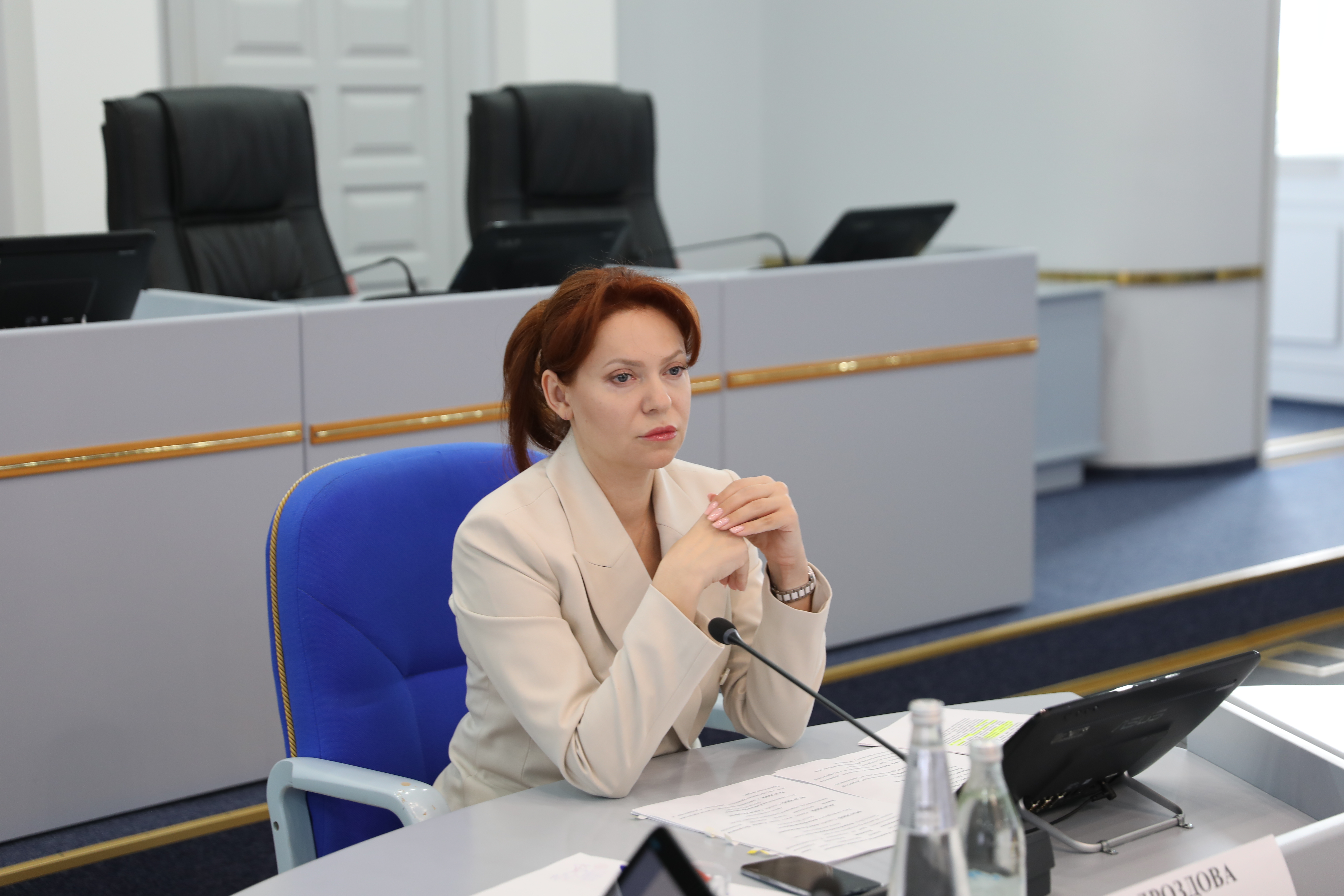 Депутаты обсудили законодательную инициативу в области охраны объектов культурного наследия
