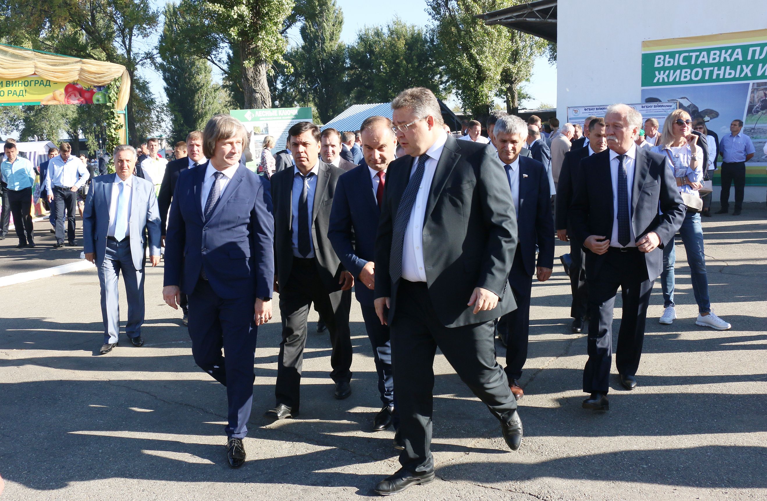 В Михайловске прошла выставка племенных животных и птиц