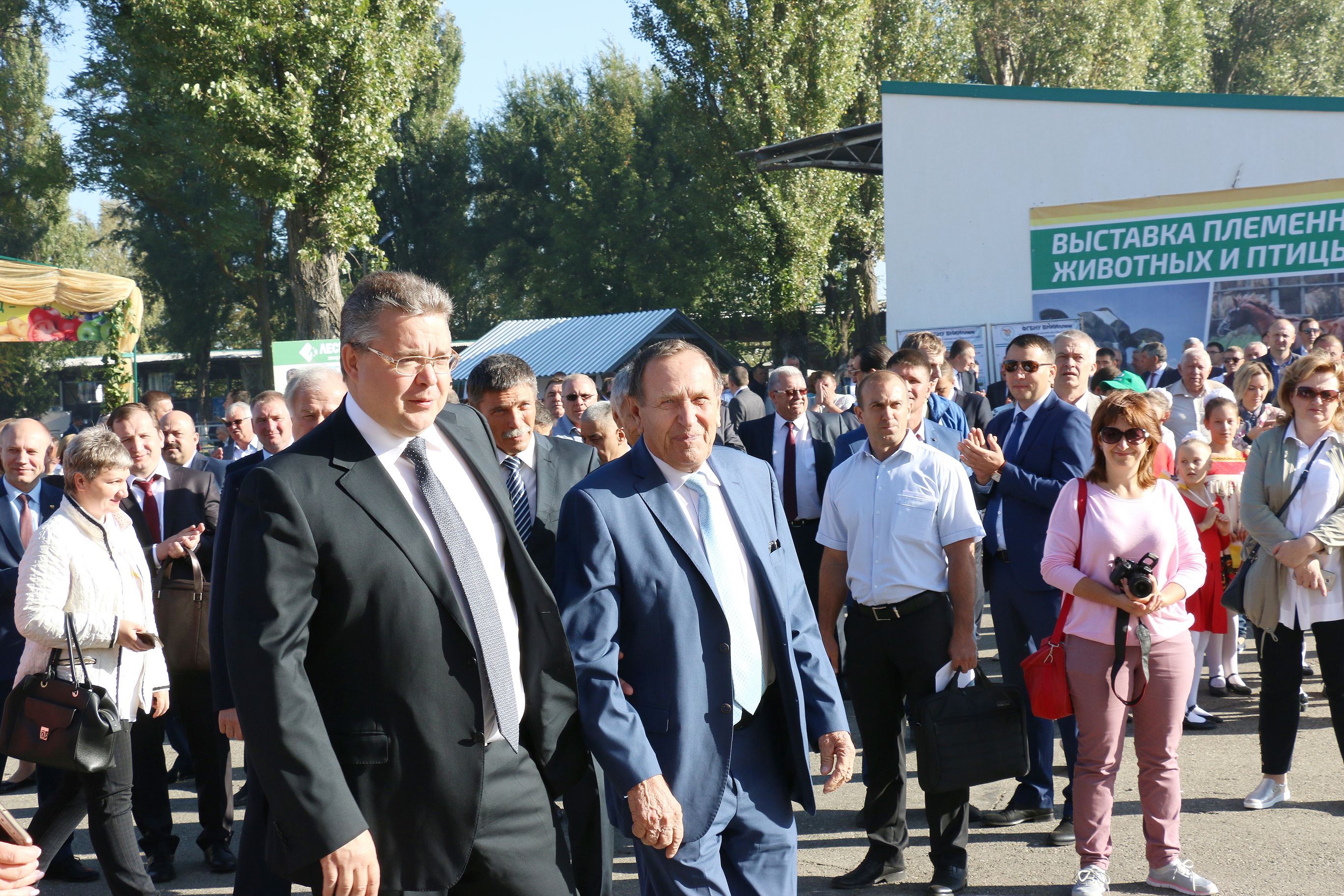 В Михайловске прошла выставка племенных животных и птиц