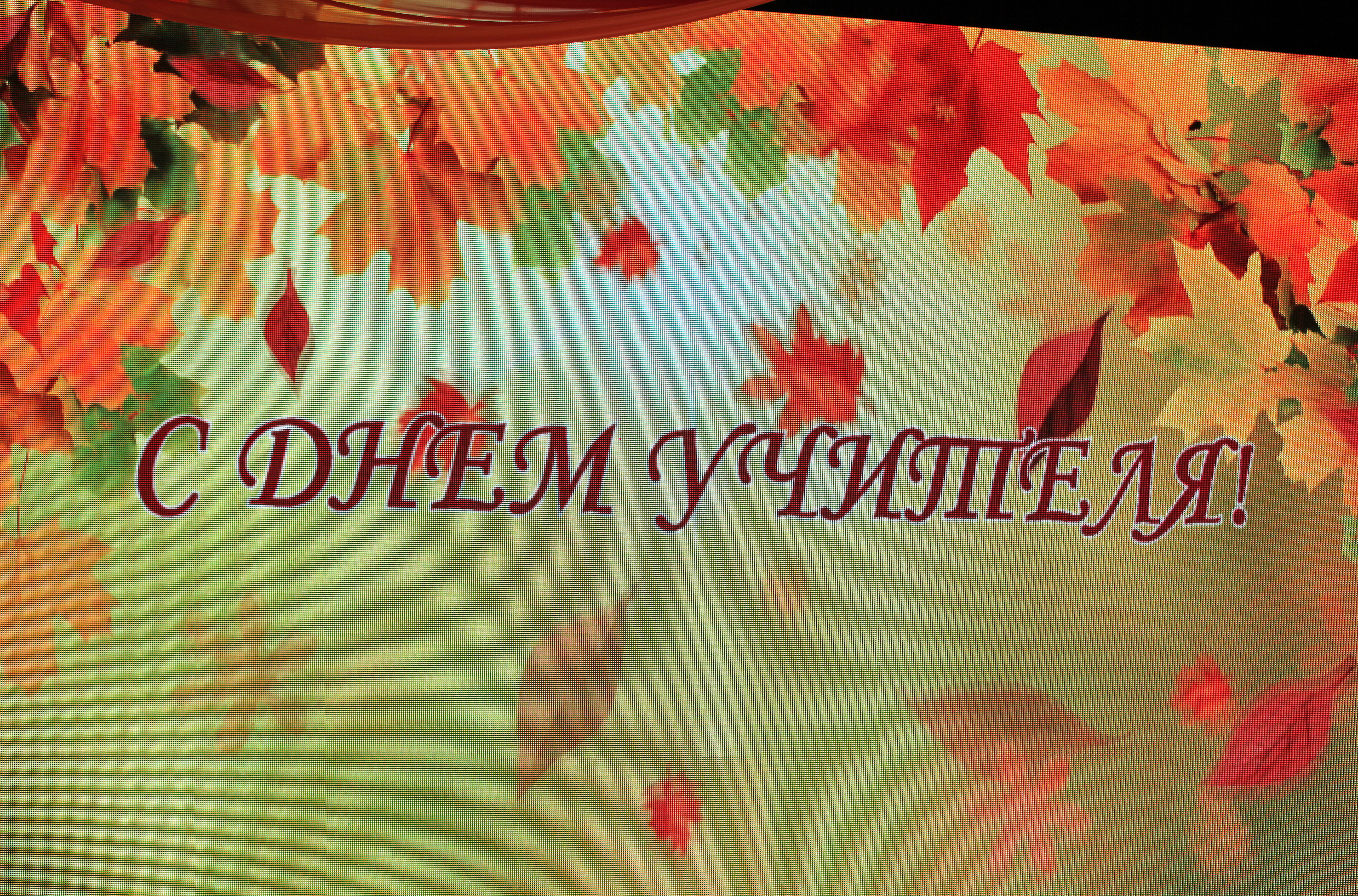 В Ставрополе отметили День учителя