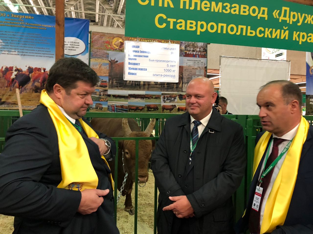 Депутаты принимают участие в выставке «Золотая осень»