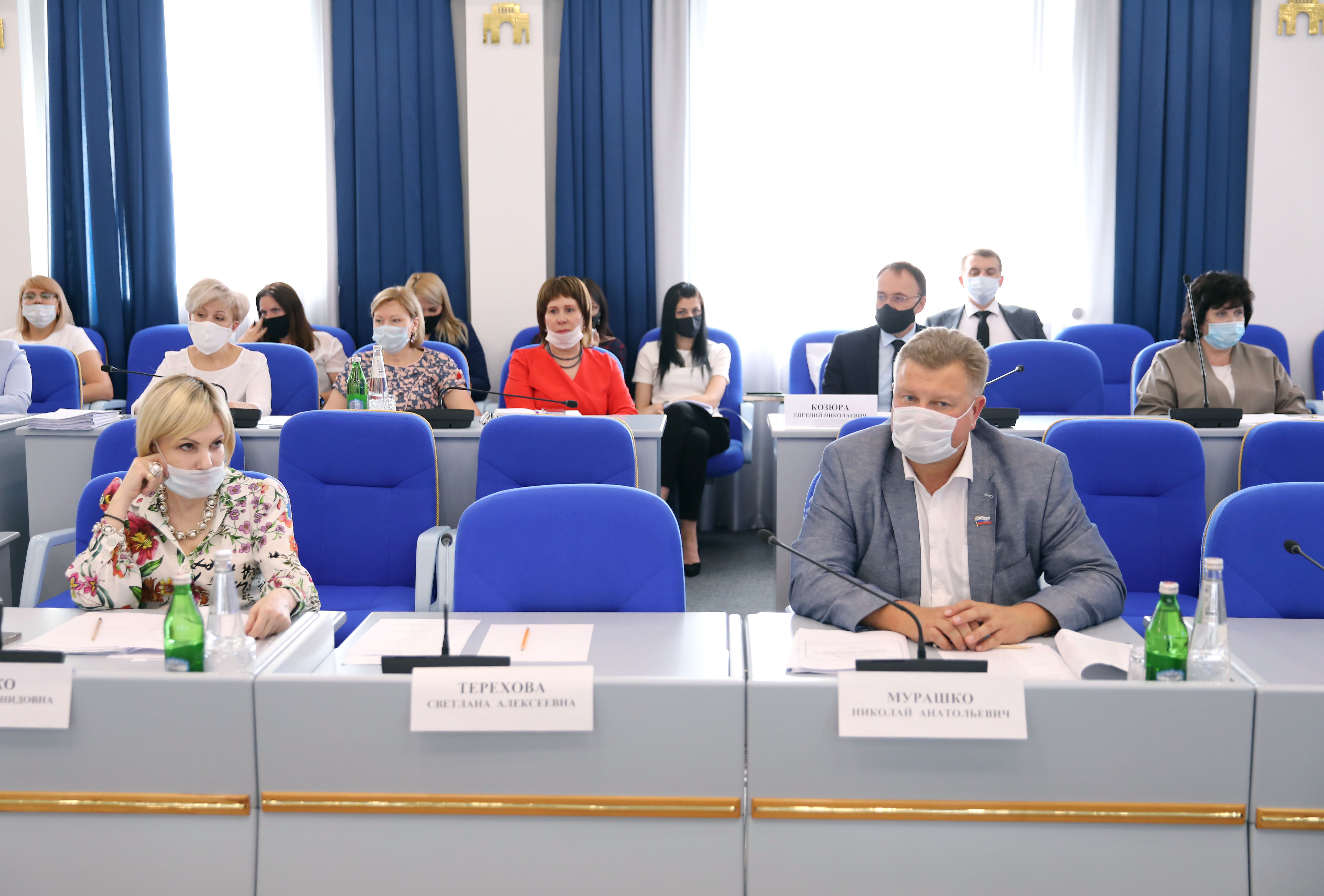 Реализацию мер поддержки медицинских и соцработников в период распространения коронавируса обсудили депутаты