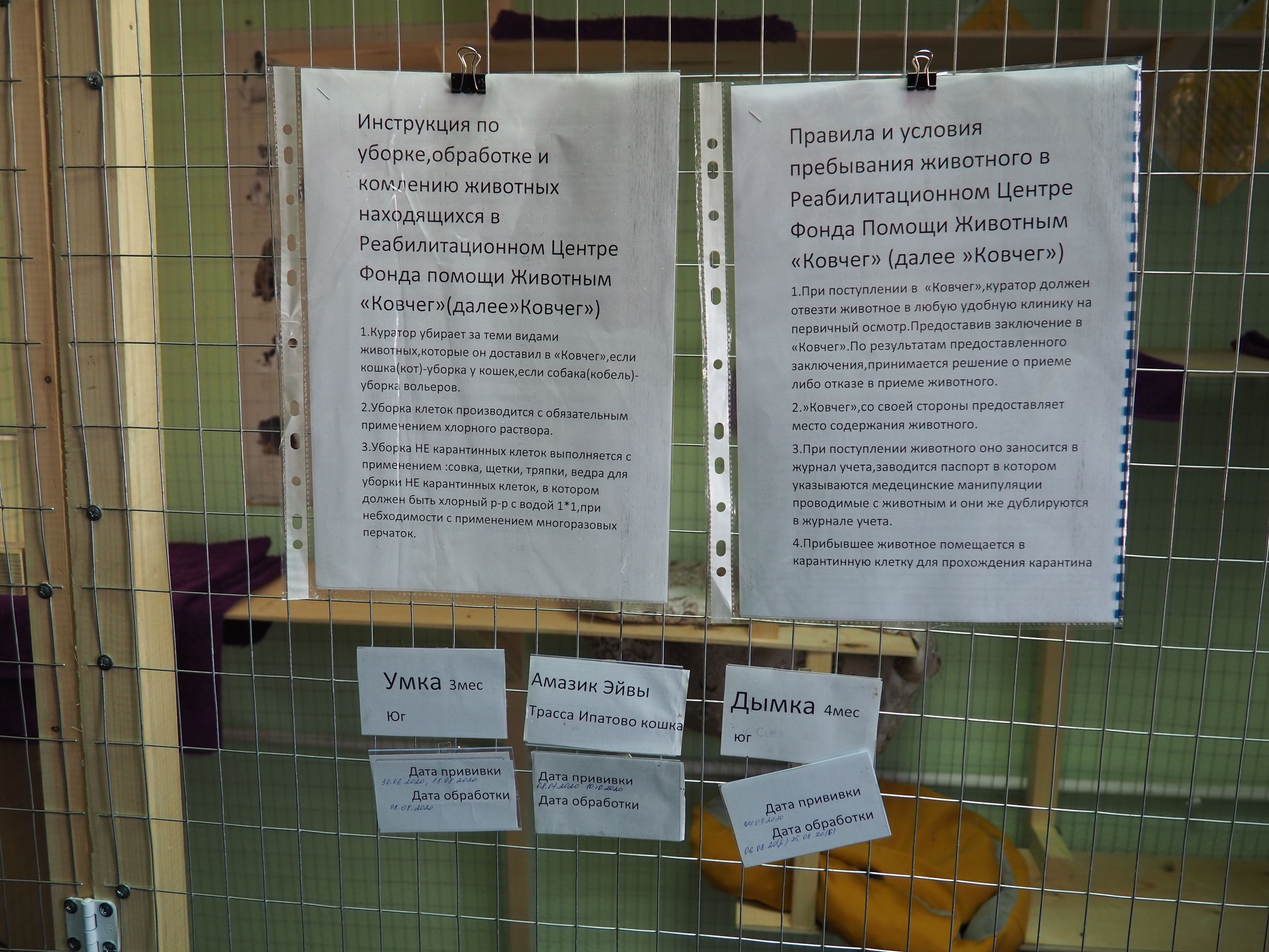 Краевые депутаты изучают опыт работы приютов для животных на Ставрополье