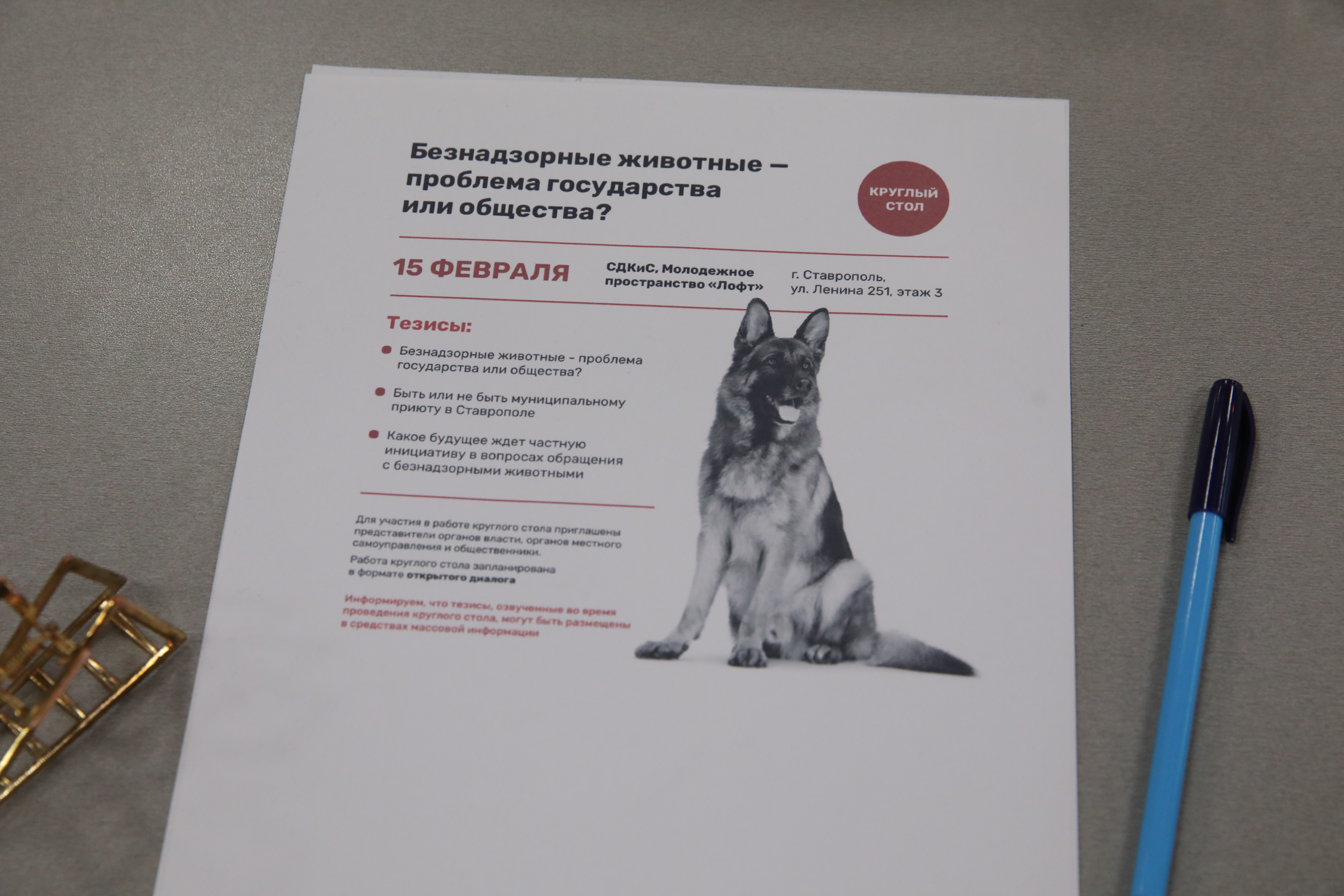 Проблему обращения с безнадзорными животными обсудили в Ставрополе