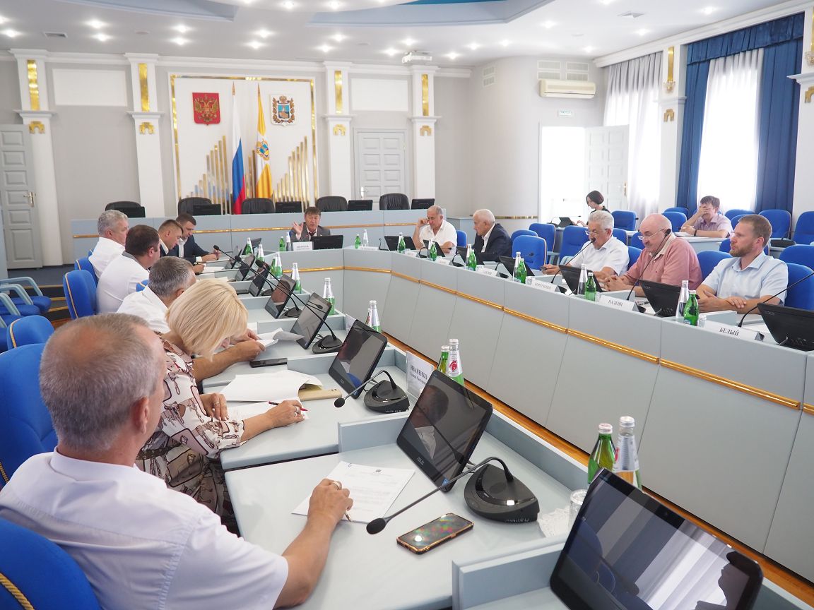 Краевые законодатели обсудили на круглом столе вопросы развития зелёной экономики