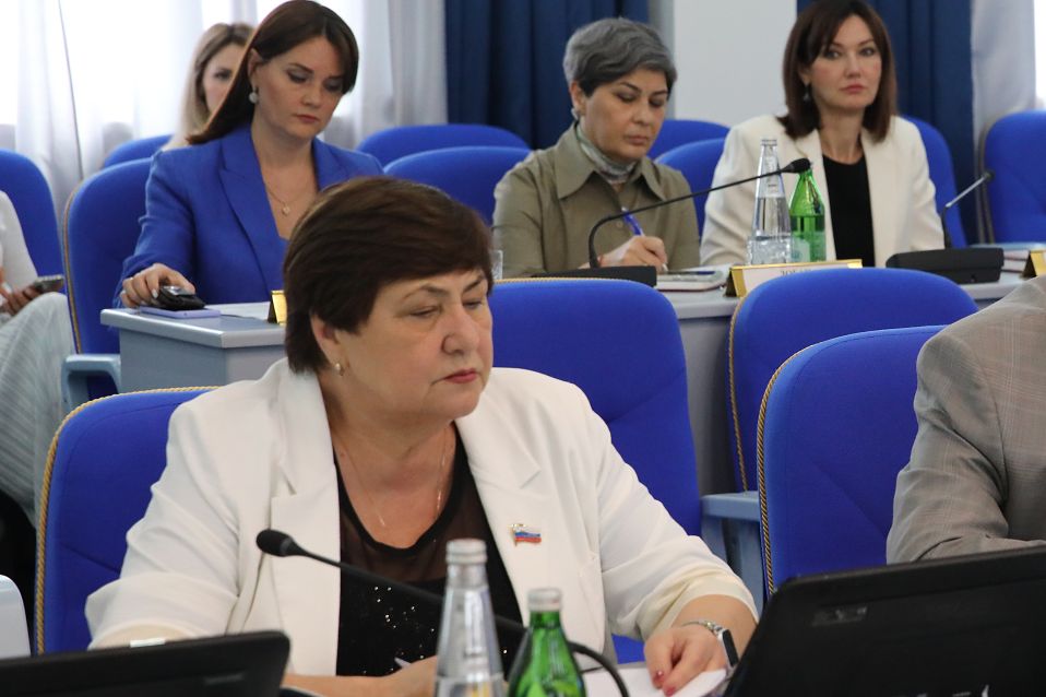 Профильный комитет краевой Думы рассмотрел законопроект, предусматривающий изменения в бюджет Ставрополья на 2023 год