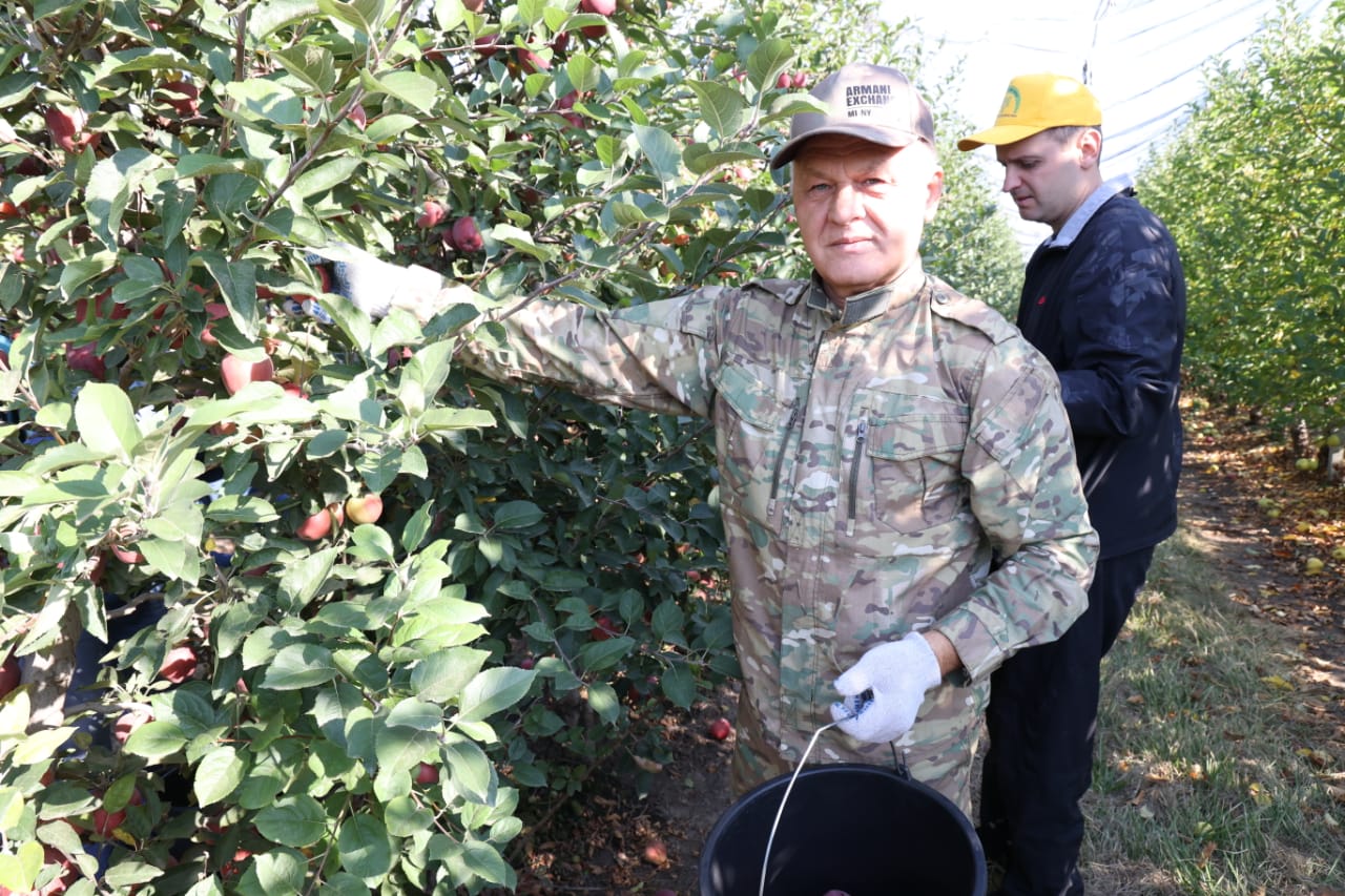 Депутаты Думы собрали 25 тонн яблок для ставропольских бойцов в зоне СВО