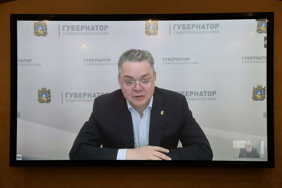 Муниципальные образования края получат полномочия для обращения с животными без владельцев