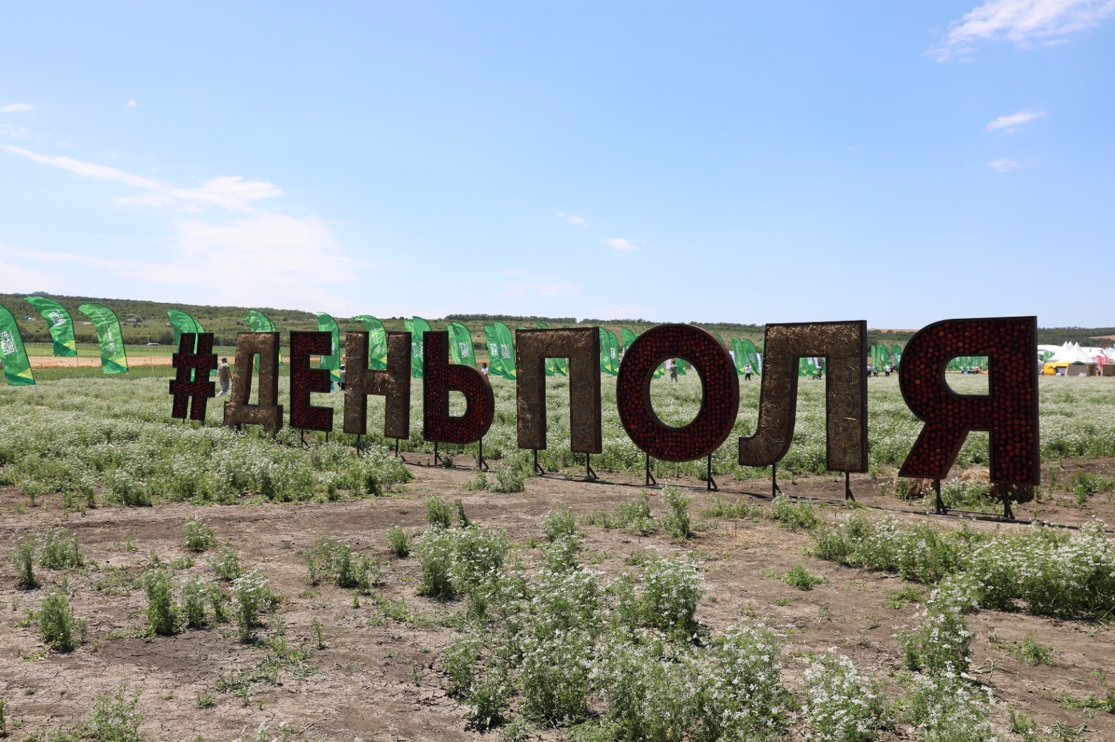 «Всероссийский день поля» проходит на Ставрополье