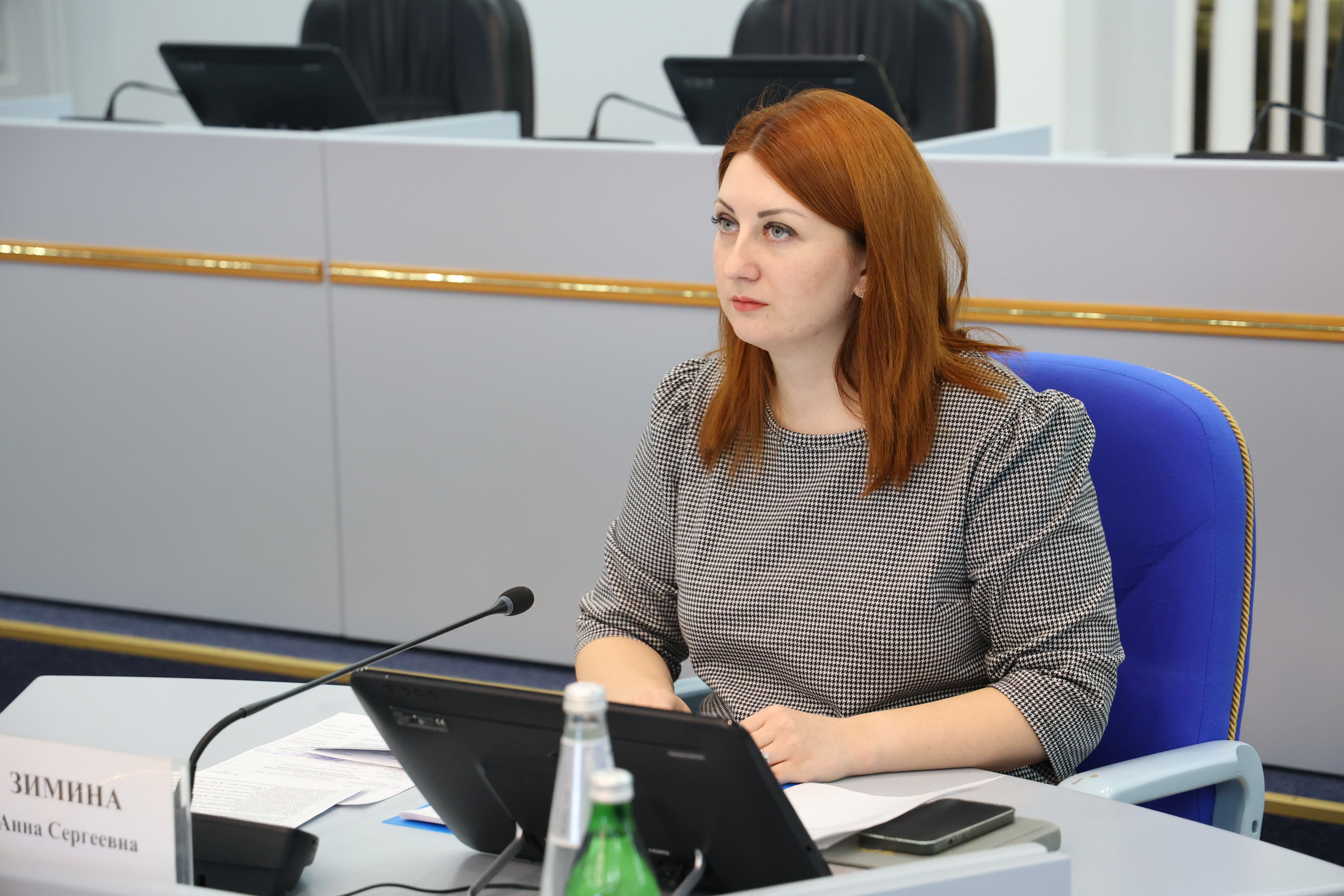 Депутаты комитета по инвестициям, курортам и туризму рассмотрели проекты финансирования госпрограмм по курируемым направлениям