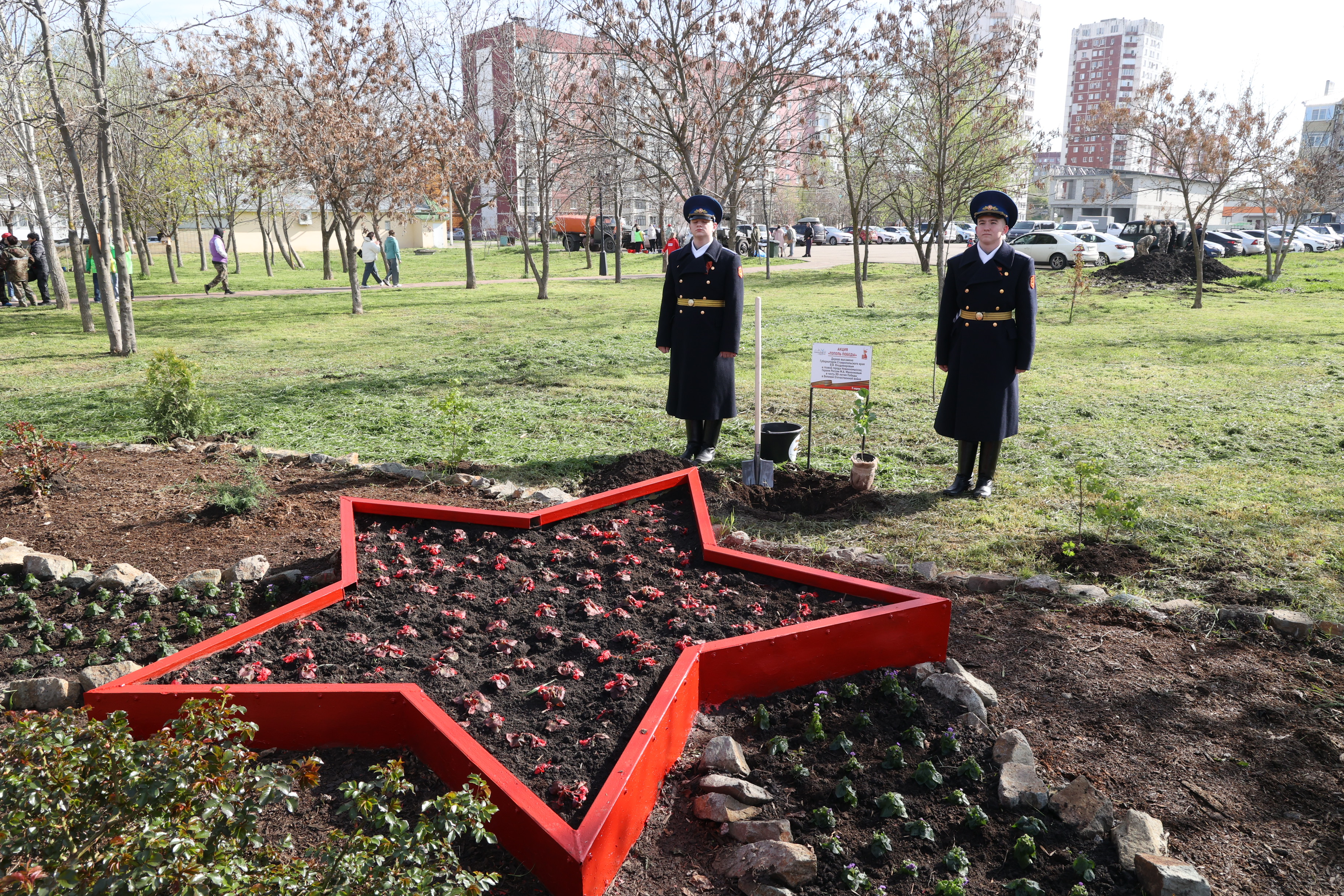 Николай Великдань посадил тополь Победы в рамках международной акции