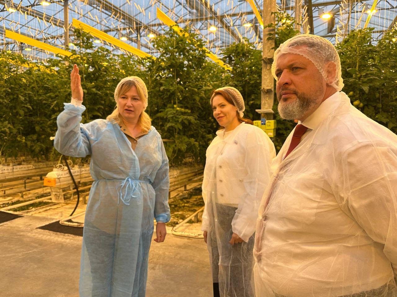 Вице-спикер Думы ознакомилась с работой крупного тепличного комплекса в Кировском округе