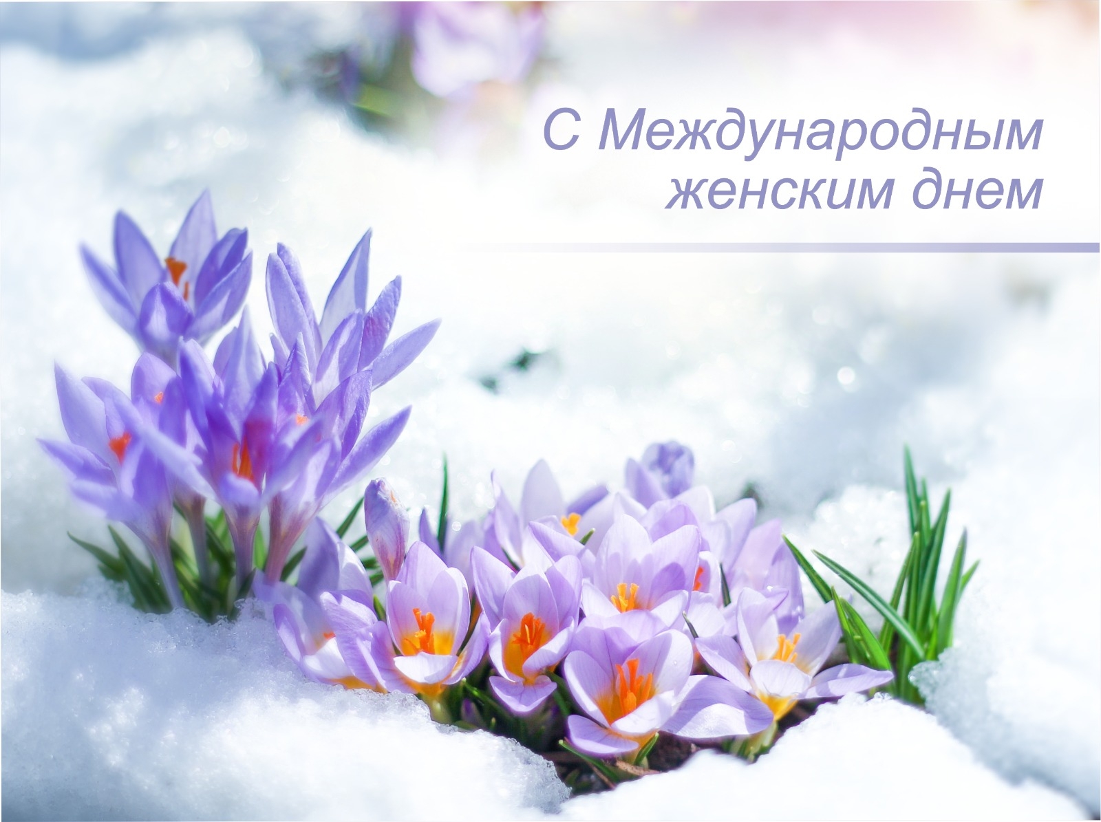 8 марта - Международный женский день