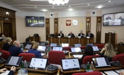 Профильный комитет краевой Думы рассмотрел проект закона о Стратегии социально-экономического развития Ставрополья