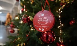 Краевые депутаты приняли участие в новогодних мероприятиях