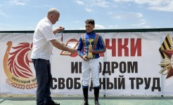 В Новоселицком округе прошли испытания племенных лошадей