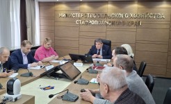 На Ставрополье обсудили вопросы законодательного регулирования пчеловодства