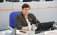 Профильный комитет Думы края рассмотрел вопросы увеличения выплат ставропольцам, пострадавшим при ЧС