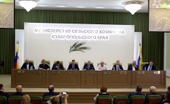 Председатель аграрного комитета краевой Думы принял участие в заседании итоговой коллегии Минсельхоза Ставрополья