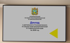Уполномоченный по правам предпринимателей в Ставропольском крае представил отчет о работе за 2020 год