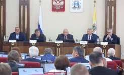 Краевые депутаты предварительно обсудили отчет главы Ставрополья о результатах работы регионального Правительства за 2025 год