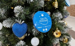 Депутаты Думы Ставрополья исполняют мечты юных ставропольчан с «Елки желаний»