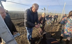 Анатолий Жданов: сады дают не только урожай, но и обеспечивают работой